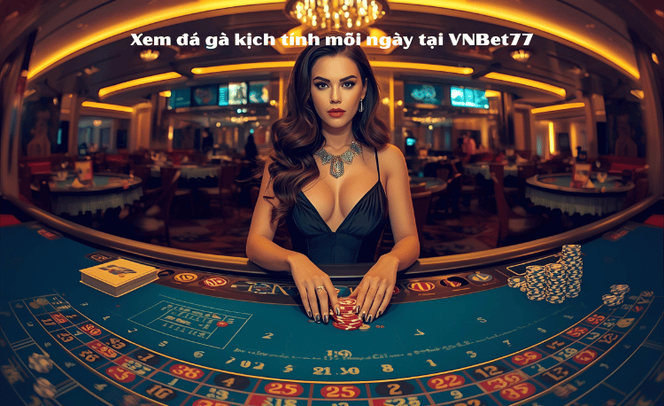 Xem đá gà vnbet77 - Hướng dẫn xem & đặt cược chuẩn 100% 2 Xem đá gà vnbet77